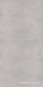 Sillent grey  60x120