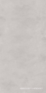 Sillent light grey 60x120