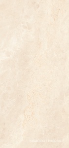 Portofino Ivory Matt 60x120