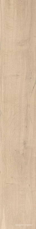 Beige Chiaro Nat |16x100