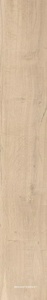 Beige Chiaro Nat  |16x100