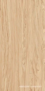 Олива бежевый обрезной ХХ|60x119,5