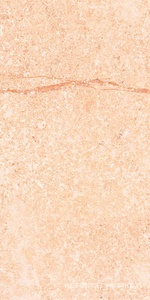 Shunut Beige G302/Шунут бежевый мат 60x120 XX