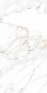 Calacatta polished  |60x120