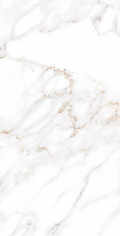 Calacatta polished  |60x120
