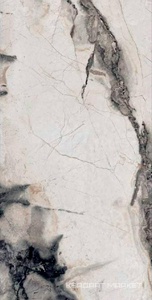 12135H High Gloss |60x120