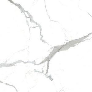 Calacata grey XX 80x80