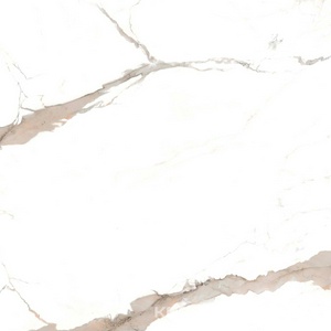 Calacata brown XX 80x80