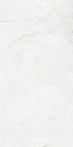 Керамогранит NL00 неполированный рект. ZZ 60x120