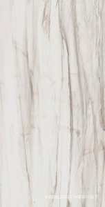 Сальварио SV01 60x120x9 Непол.Рект.