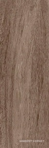 Baikal brown PG 02 20х60