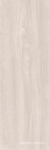 Baltika grey PG 01 20х60