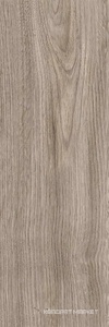 Baltika grey PG 02  20х60