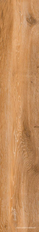 At. Viggo Fresno Rett|20x120