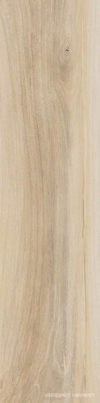 Hard Cream |15x61