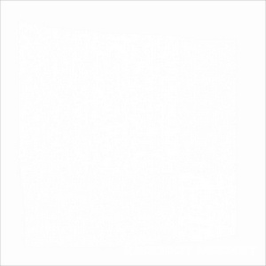 Калейдоскоп белый |20x20