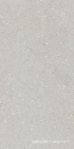 Shellstone Bianco 60x120