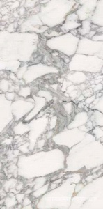 Luxury Stone SS12046 Pol 60x120