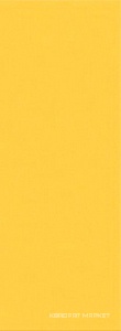 Vela Ochra |20.1x50.5