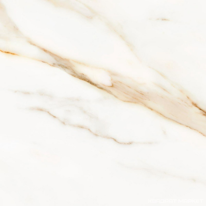 Calacatta Royal|42x42
