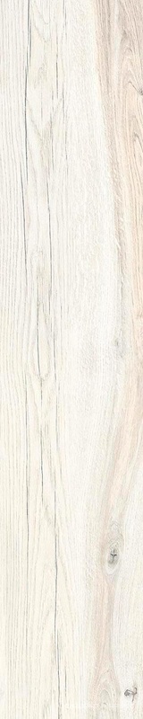 Daring Ivory |24x120