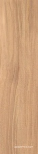 Nut beige 12.5x50