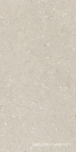 Shellstone Beige 60x120