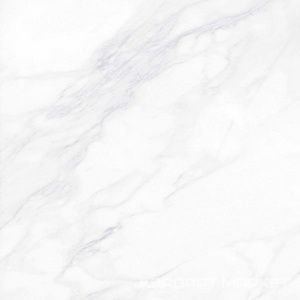 Payer Elegant G281/Пайер Элегантный мат. 60x60