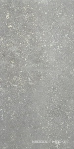 Ardenne Grigio 20x40