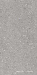 Shellstone Grigio 60x120