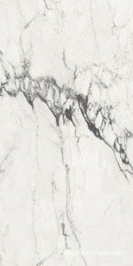 Michelangelo glossy 90x180