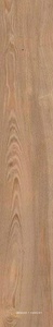 Castagno NI 9 rett 20x120
