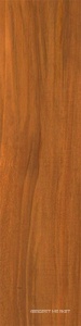 Nut brown |12.5x50