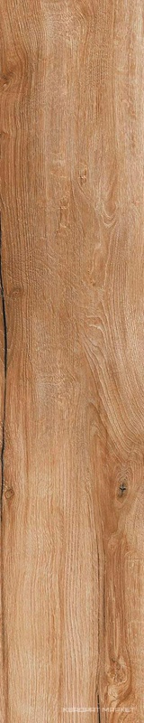 Daring Nut |24x120