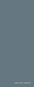 Colormix steel  20.1x50.5
