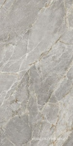 Majestic Grey Silky 60x120