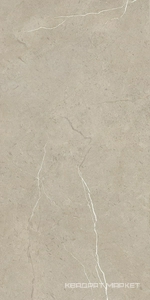 Salvador  Biege  31.5x63