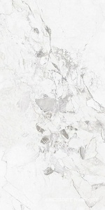 Saint Laurent Light 31.5x63